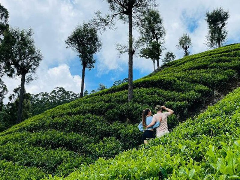 Hill Country Scenic Discovery Tour